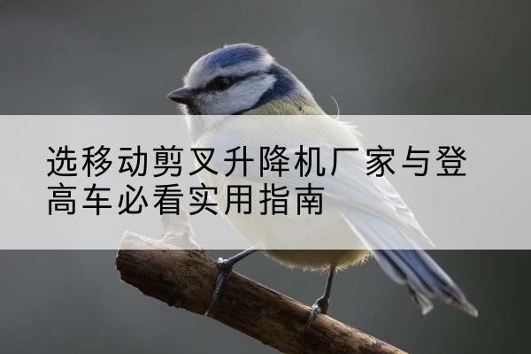 金川电动升降机厂家-选移动剪叉升降机厂家与登高车必看实用指南